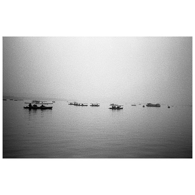 c068e-46089633_448461472354583_4369012106830943826_n